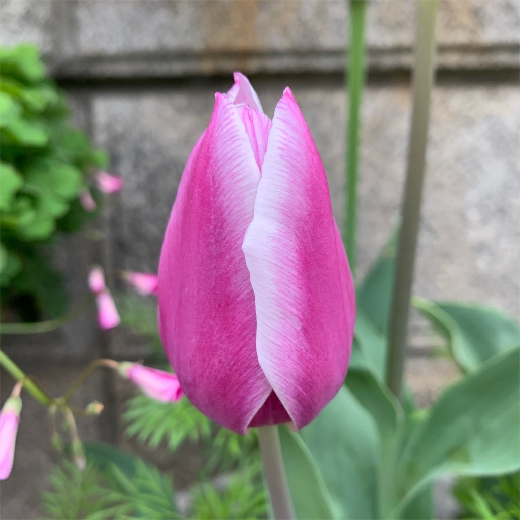 f:id:keikostyle:20210912015412j:image