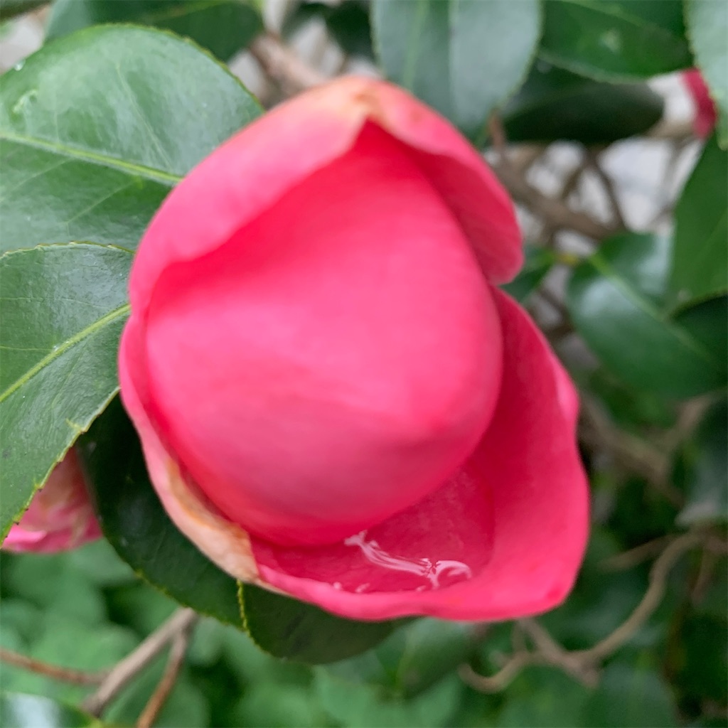 f:id:keikostyle:20210912015422j:image