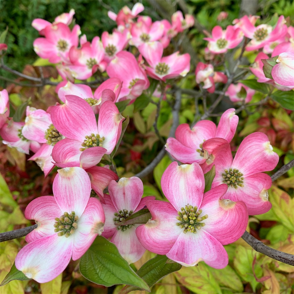 f:id:keikostyle:20210912015445j:image