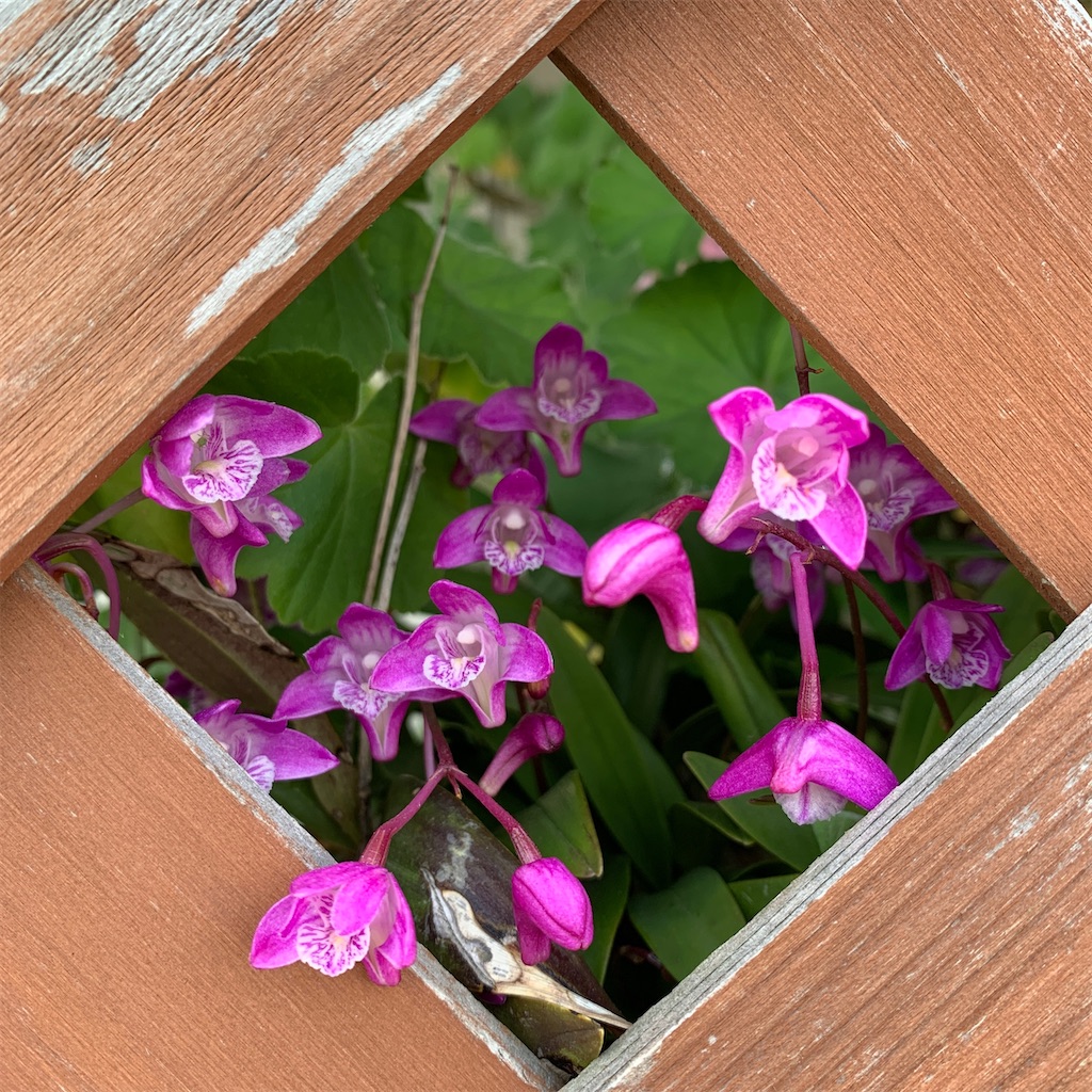 f:id:keikostyle:20210912015455j:image