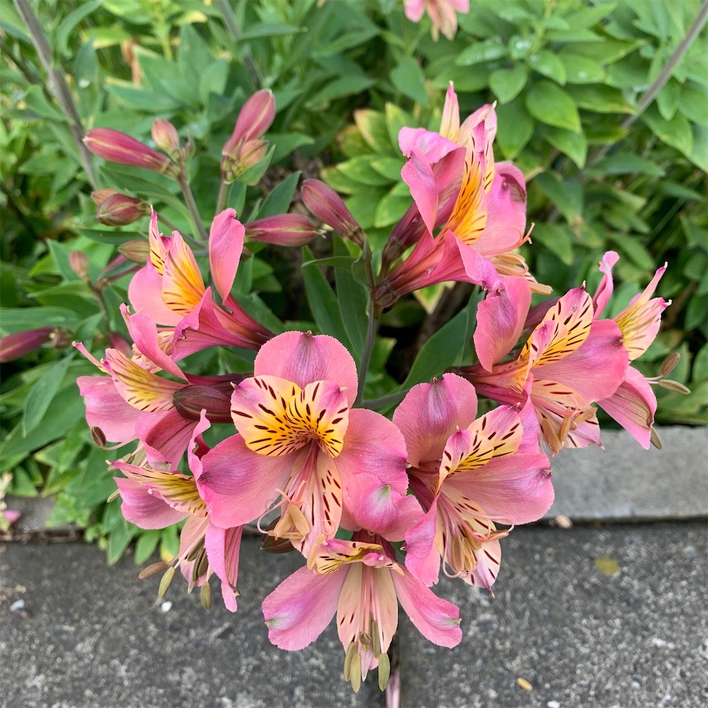 f:id:keikostyle:20210912015459j:image