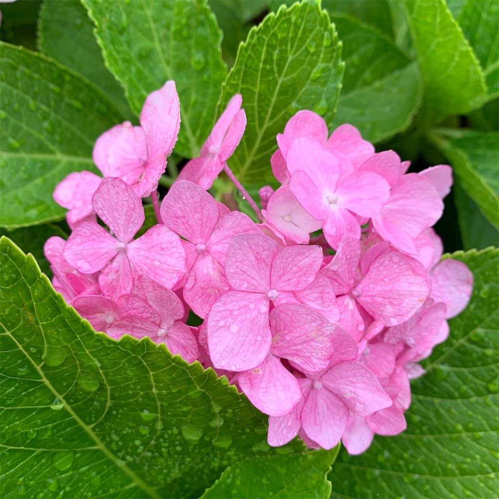 f:id:keikostyle:20210912015502j:image