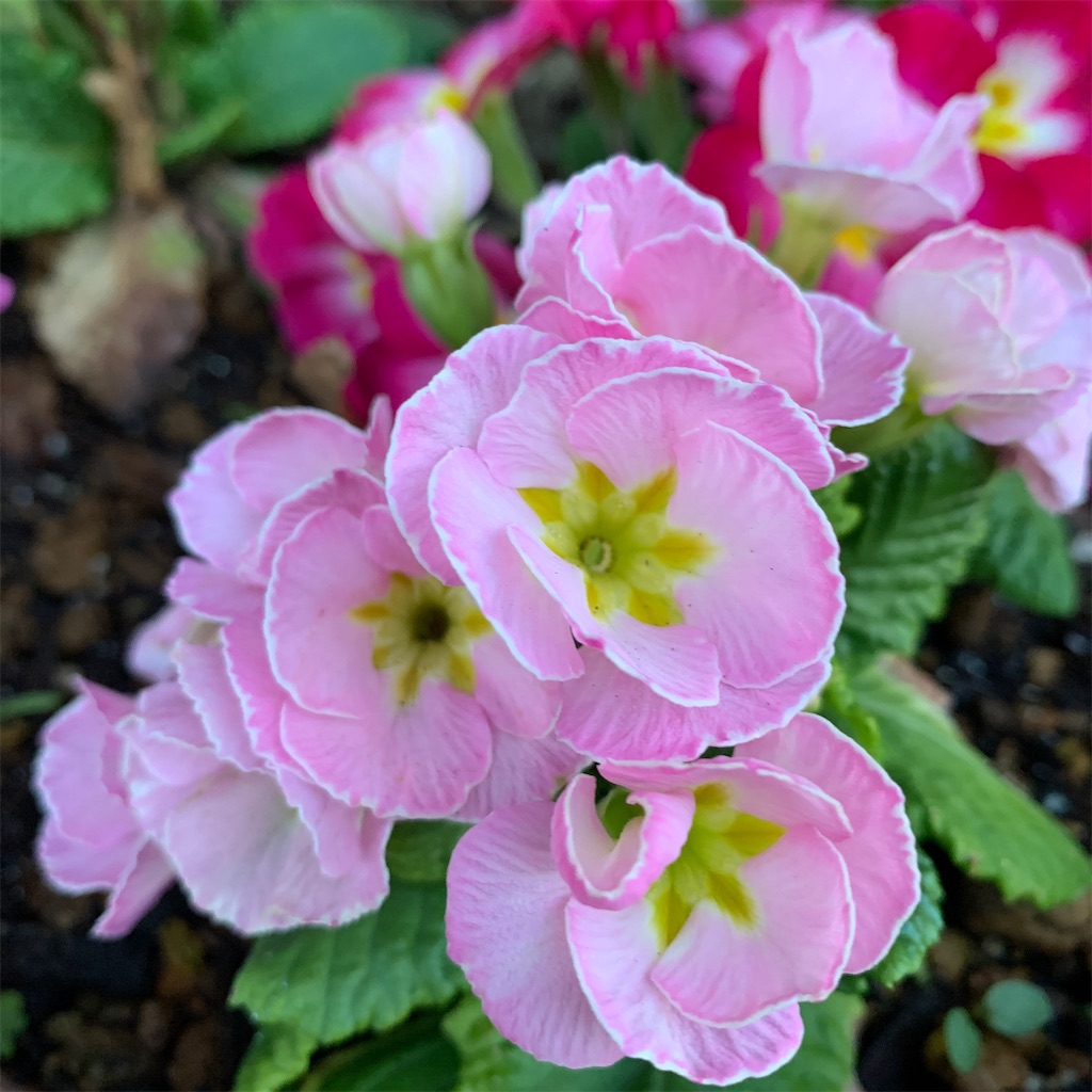 f:id:keikostyle:20210912015504j:image