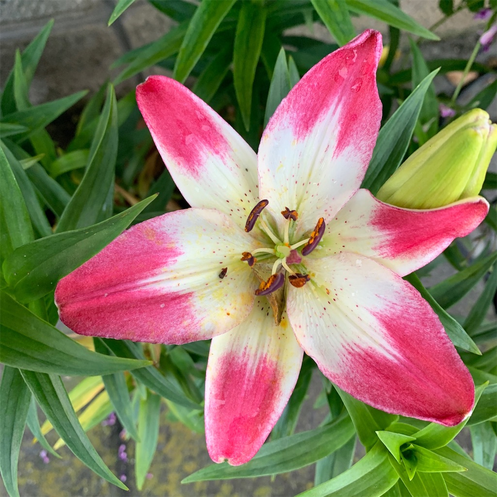 f:id:keikostyle:20210912015518j:image