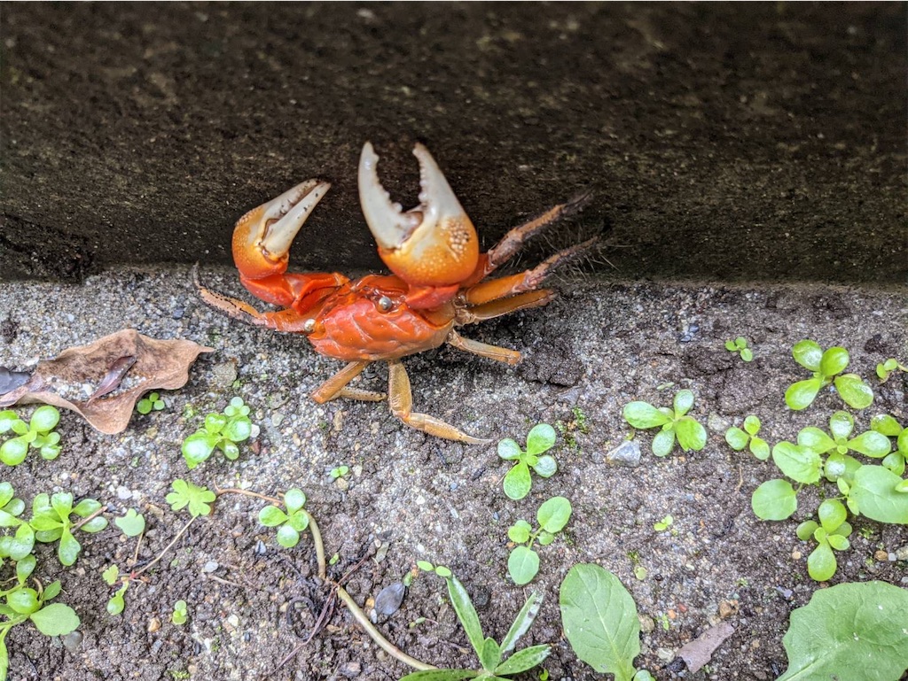 f:id:keikostyle:20210913100614j:image