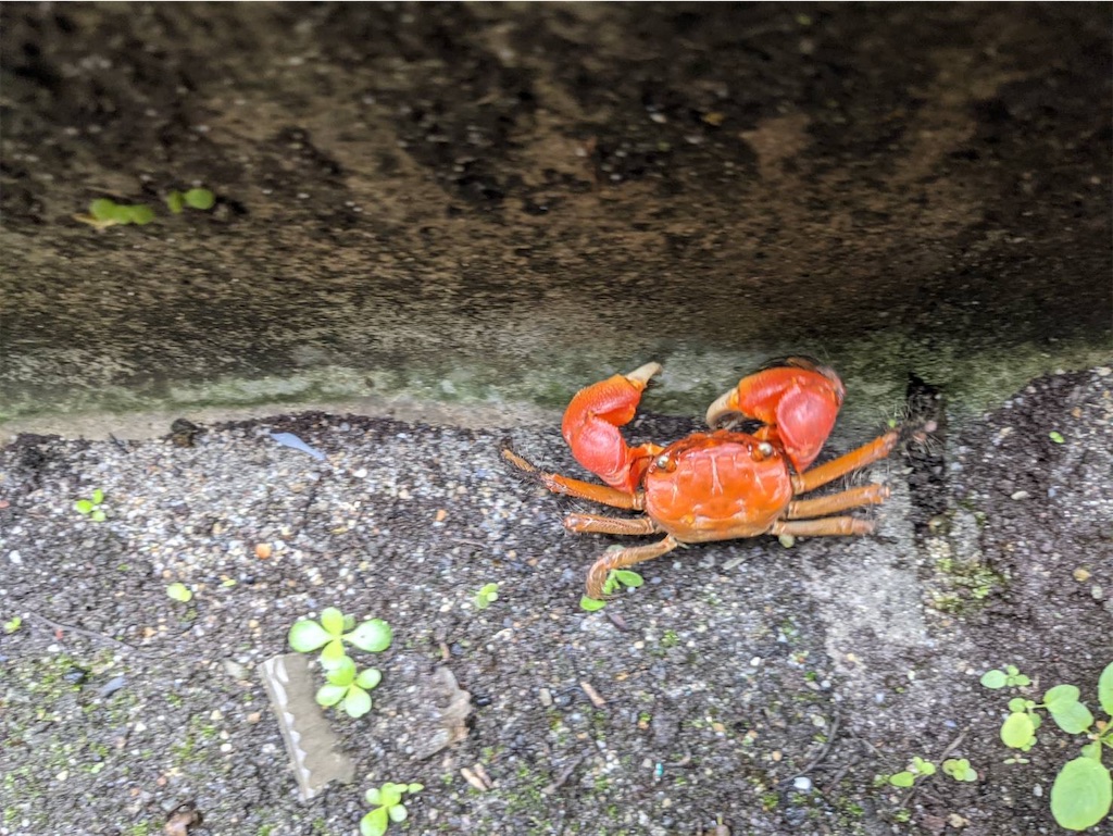 f:id:keikostyle:20210913100617j:image