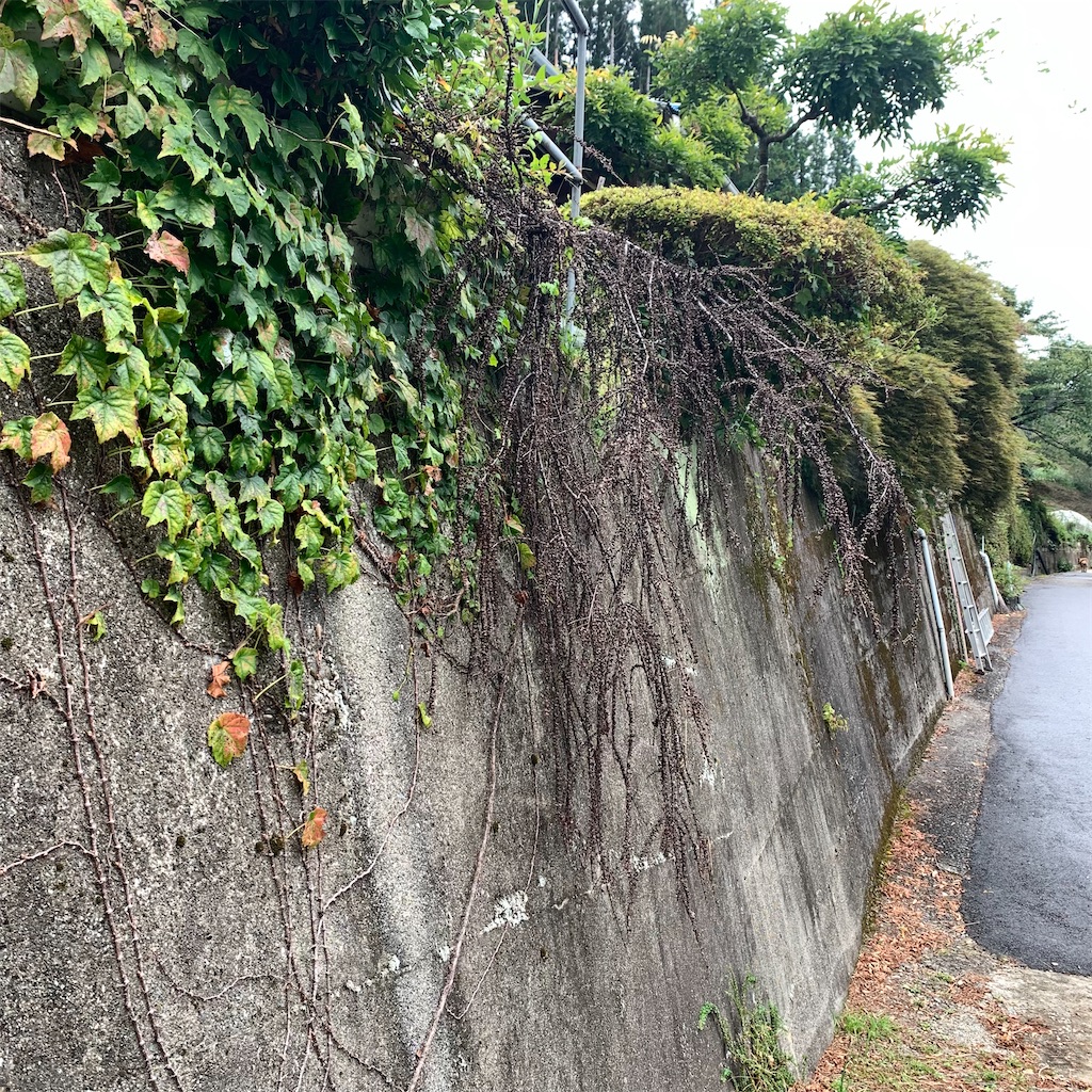 f:id:keikostyle:20210914202049j:image