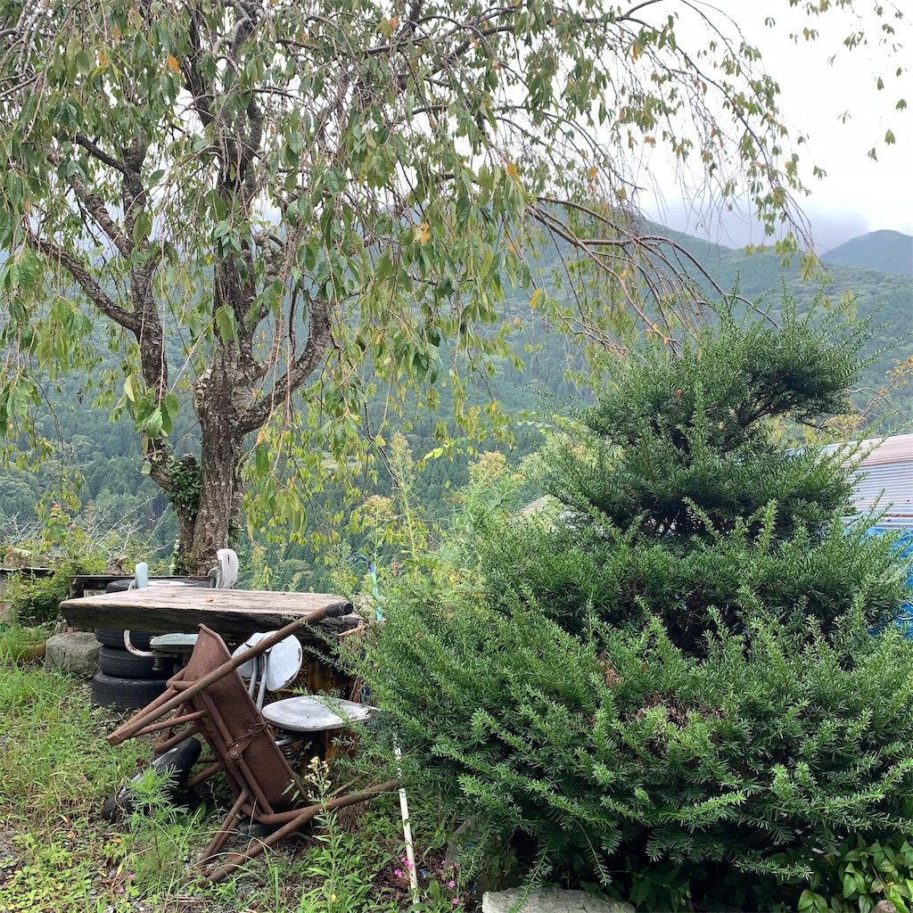 f:id:keikostyle:20210914202058j:image