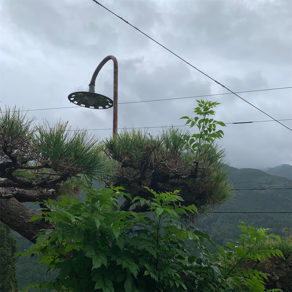f:id:keikostyle:20210914202253j:image