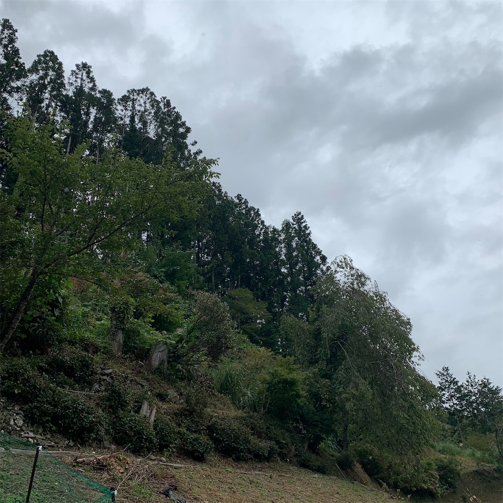f:id:keikostyle:20210914202308j:image