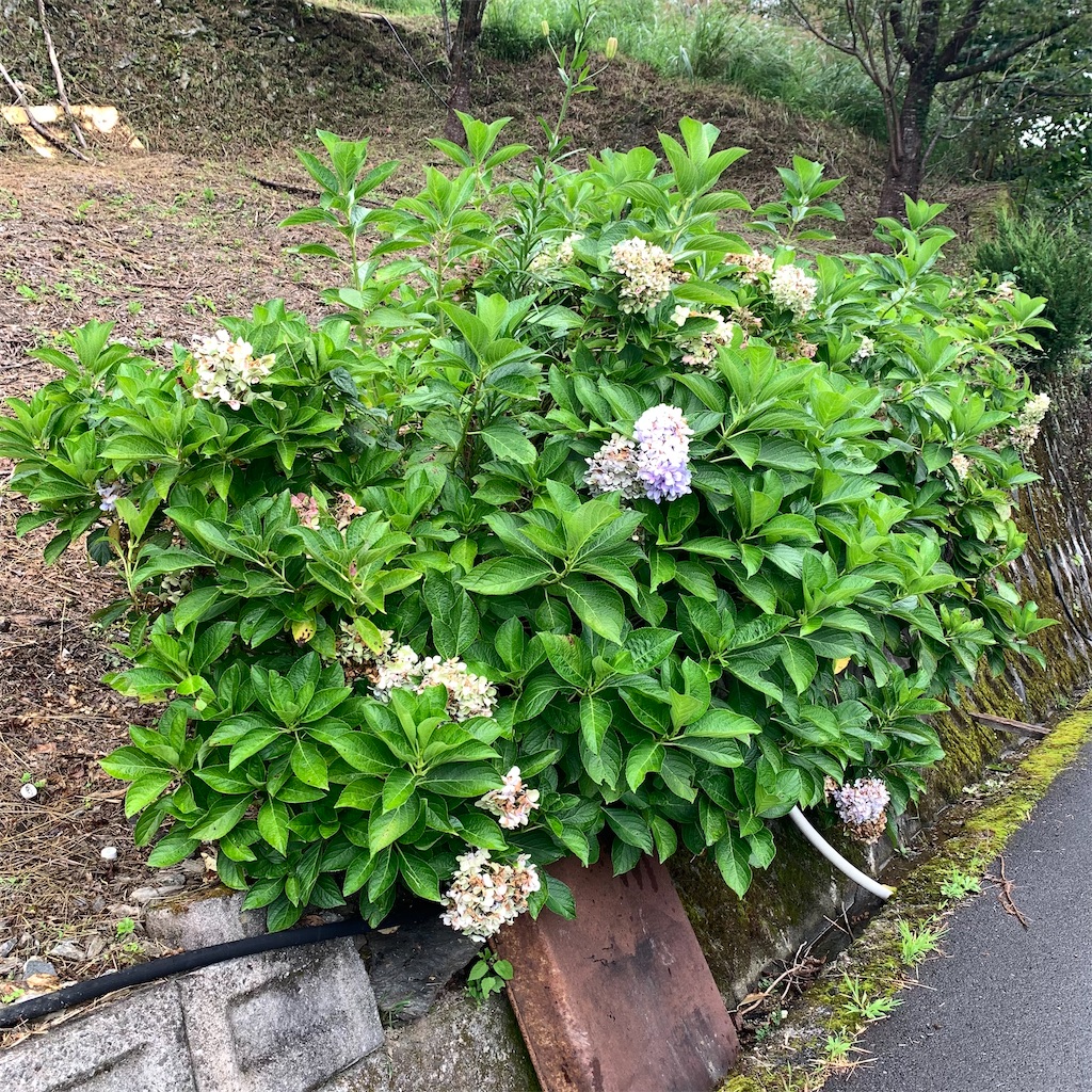 f:id:keikostyle:20210914202356j:image