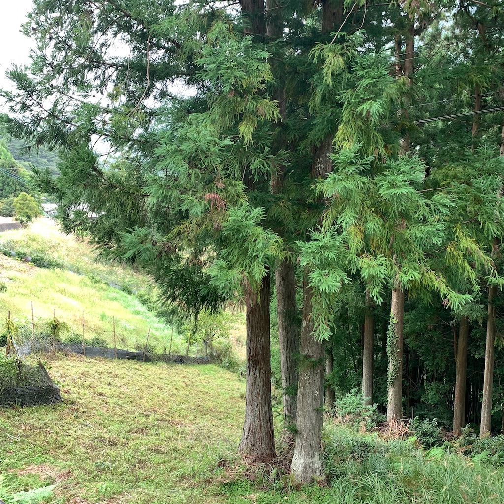 f:id:keikostyle:20210914202526j:image