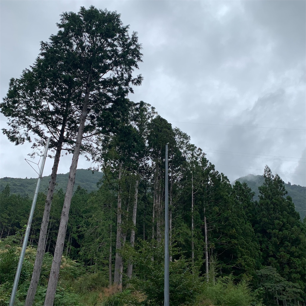 f:id:keikostyle:20210914202535j:image