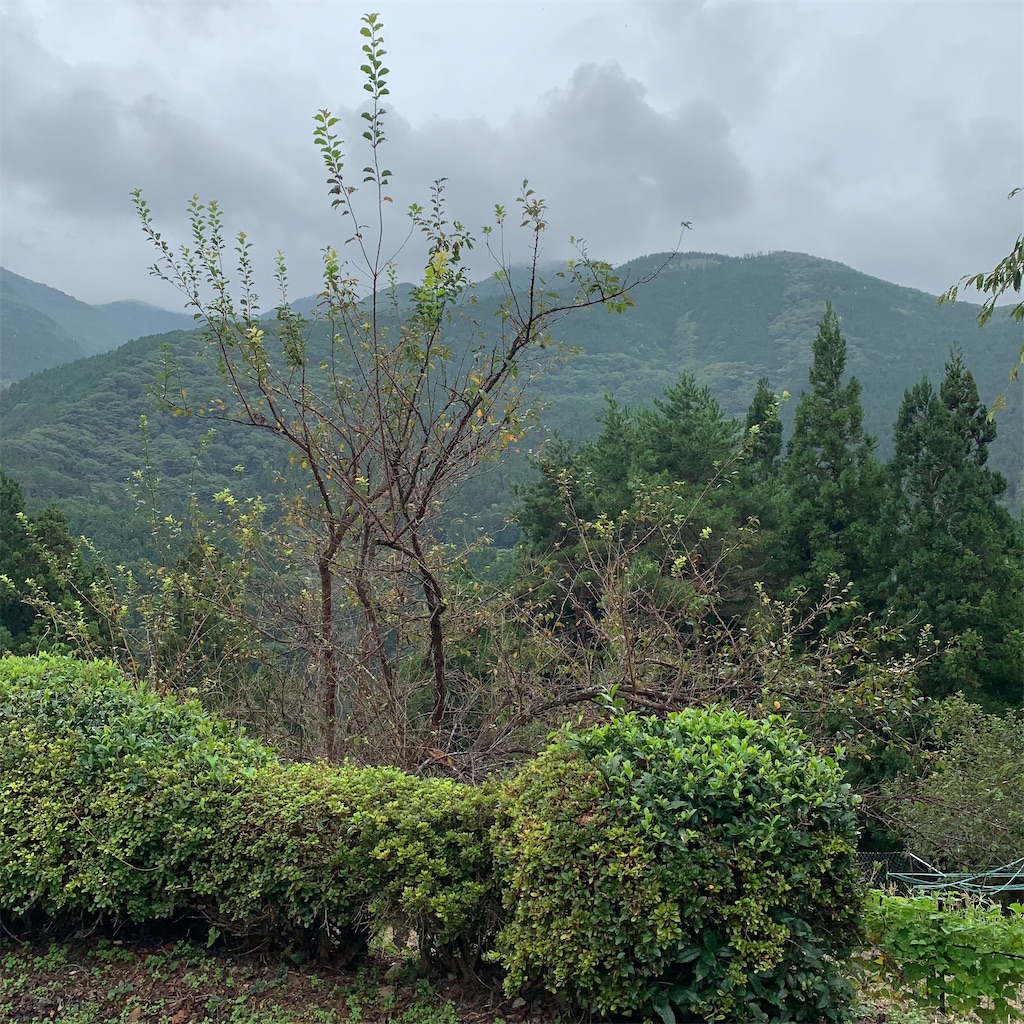 f:id:keikostyle:20210914202551j:image