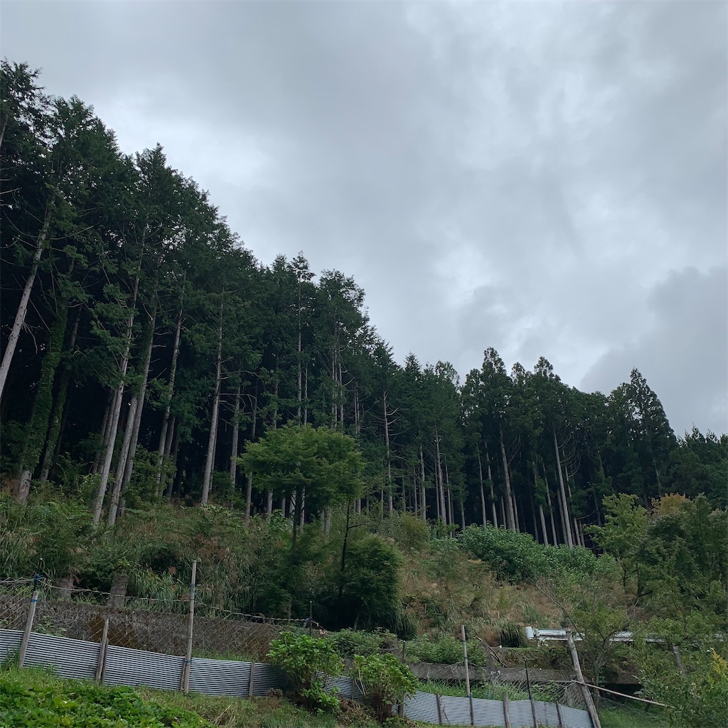 f:id:keikostyle:20210914202600j:image