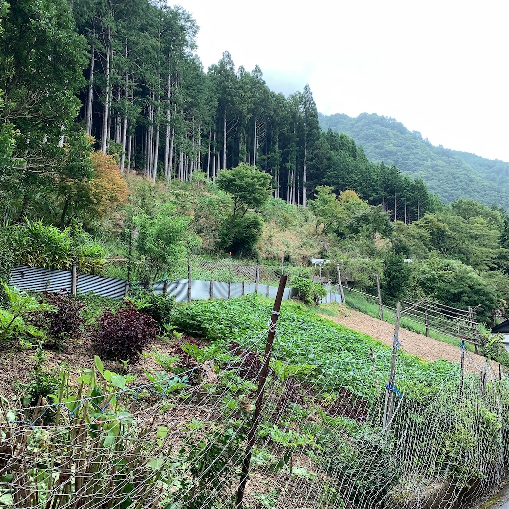 f:id:keikostyle:20210914202603j:image