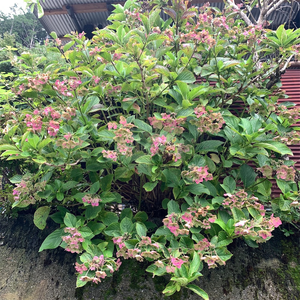 f:id:keikostyle:20210914202751j:image