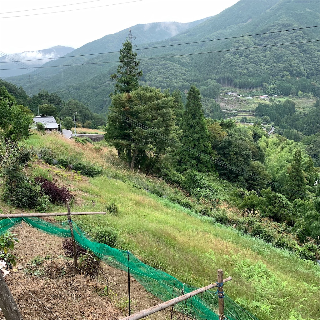 f:id:keikostyle:20210914202754j:image