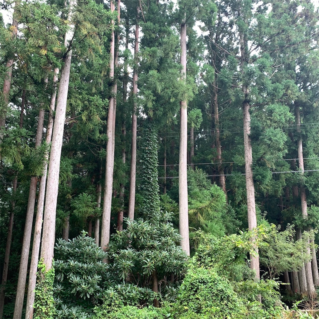 f:id:keikostyle:20210914202757j:image