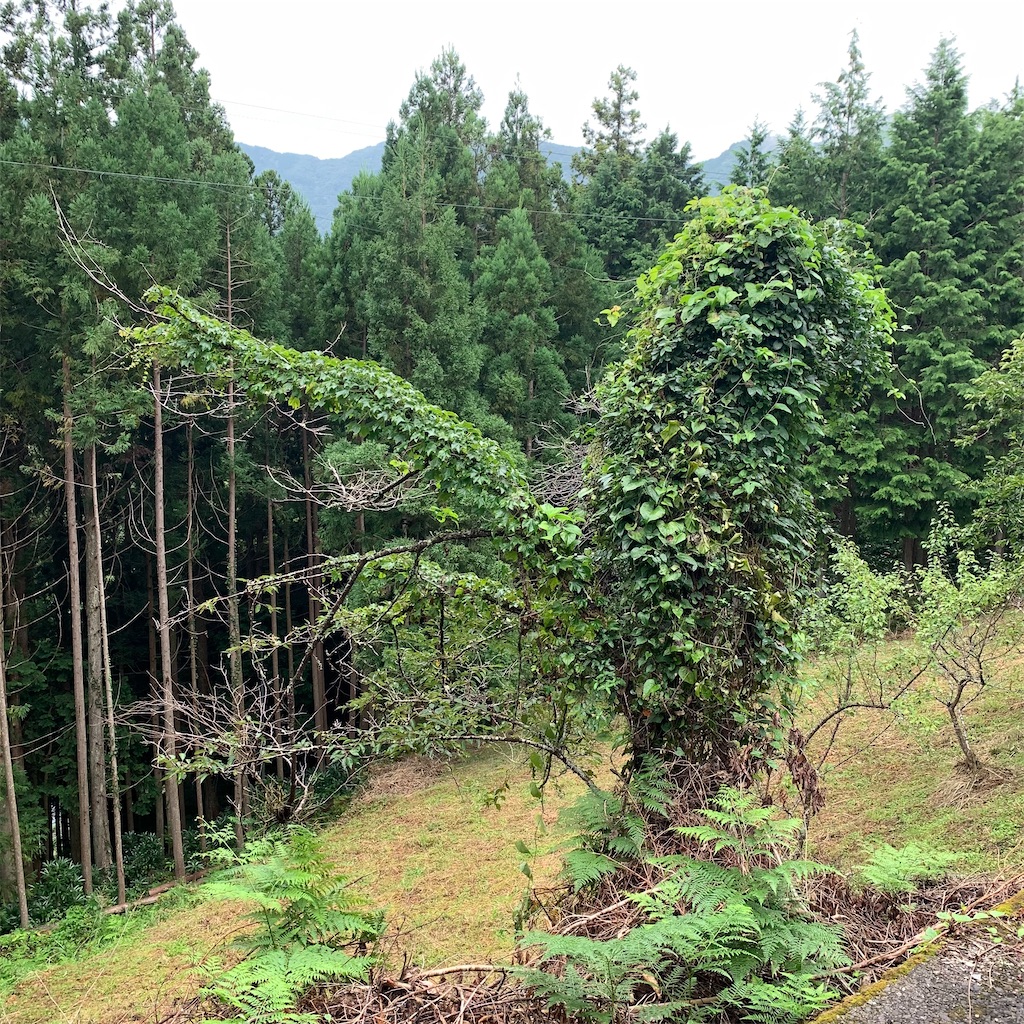 f:id:keikostyle:20210914202809j:image