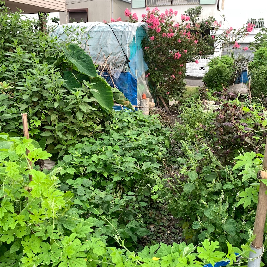 f:id:keikostyle:20210916062750j:image