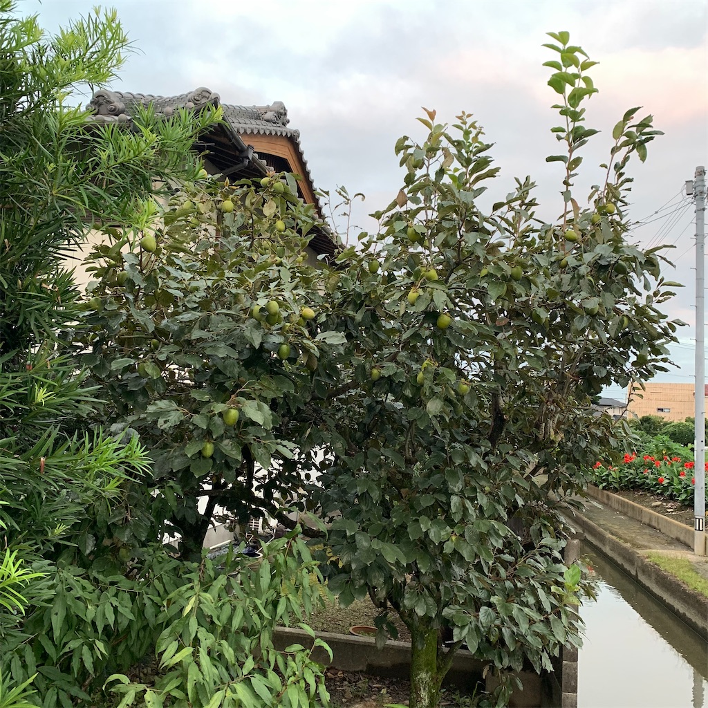 f:id:keikostyle:20210916062823j:image