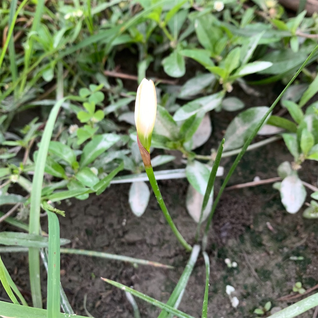 f:id:keikostyle:20210924062645j:image