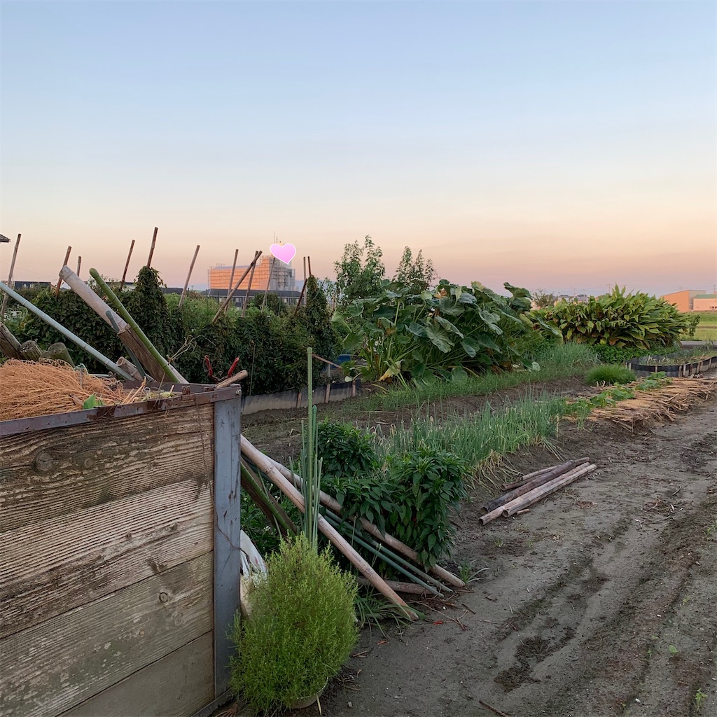 f:id:keikostyle:20210924062656j:image