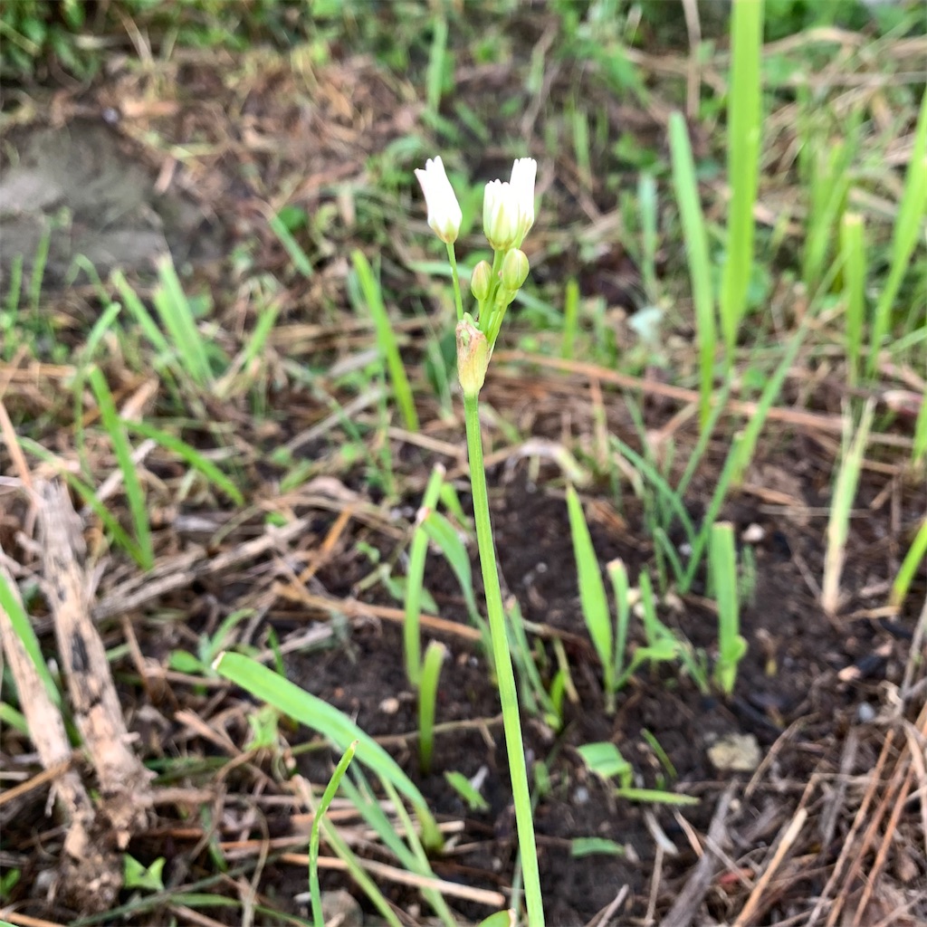 f:id:keikostyle:20210924062718j:image