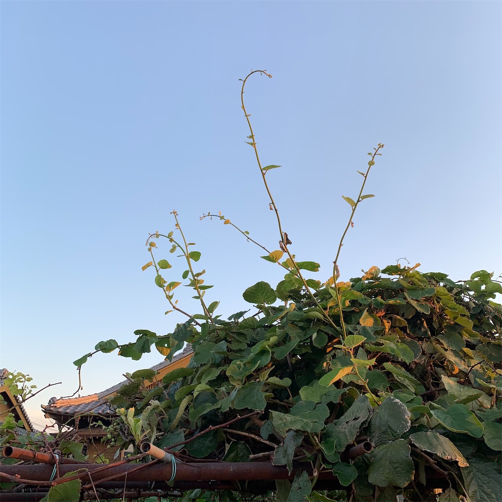 f:id:keikostyle:20210924062827j:image