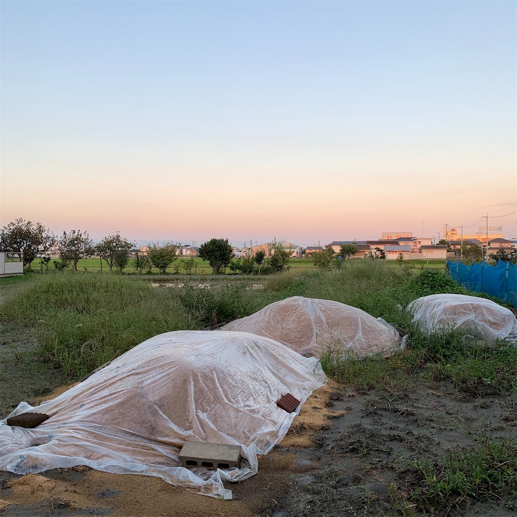 f:id:keikostyle:20210924062838j:image