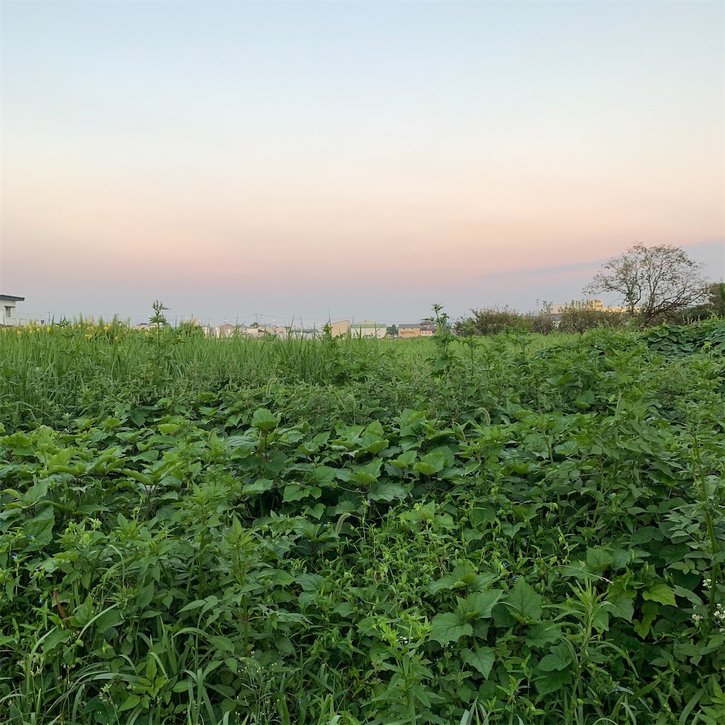 f:id:keikostyle:20210924062851j:image