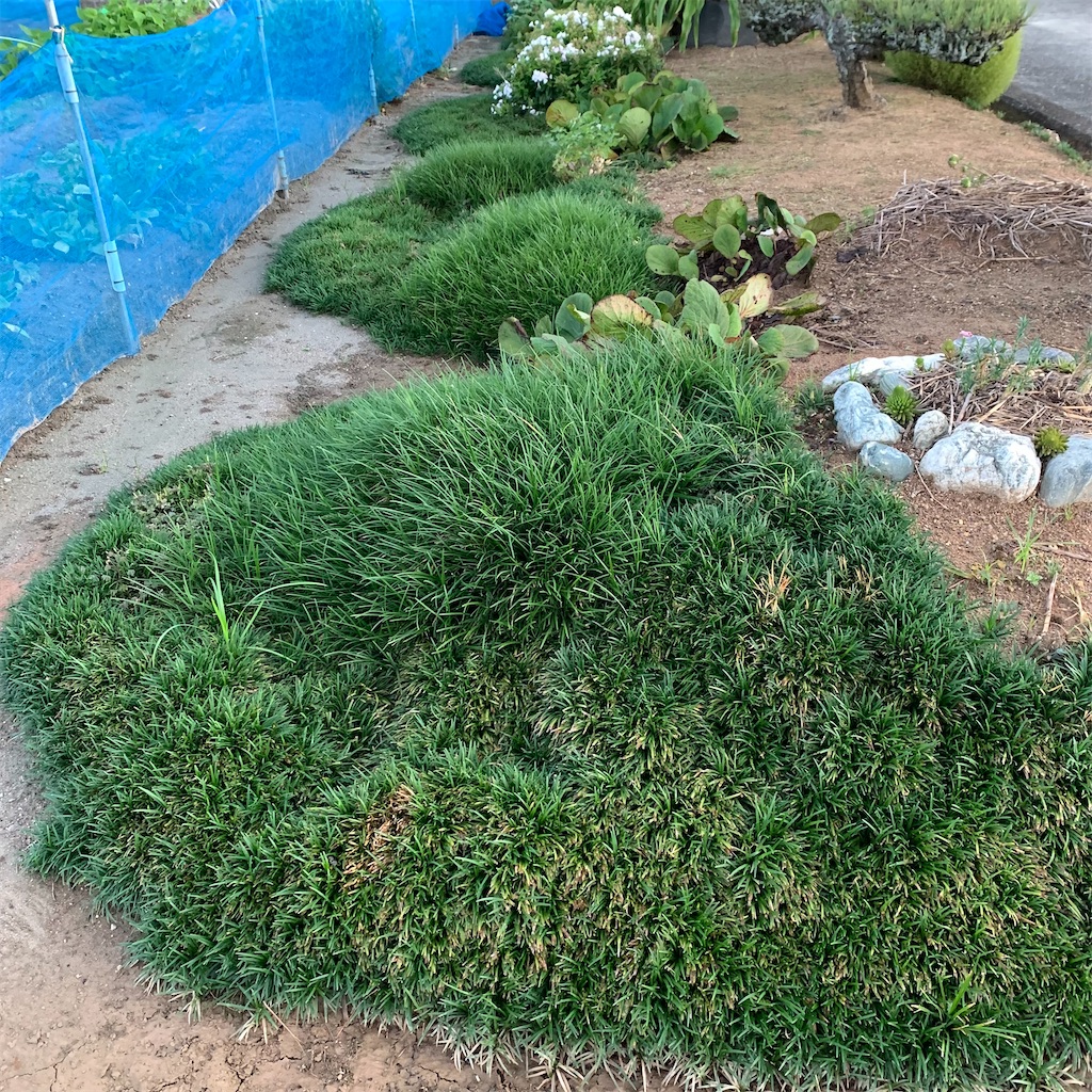 f:id:keikostyle:20210925063114j:image