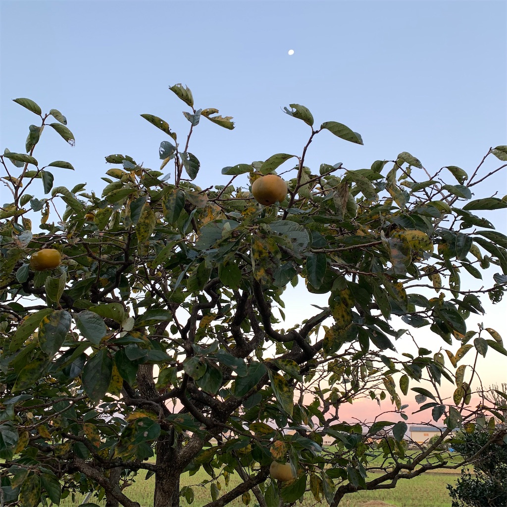 f:id:keikostyle:20210925063123j:image