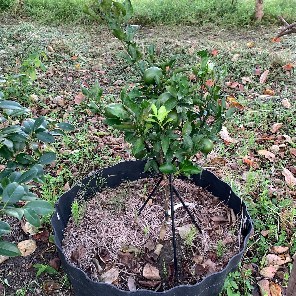 f:id:keikostyle:20210925063232j:image