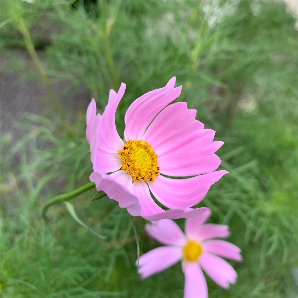 f:id:keikostyle:20211009202329j:image