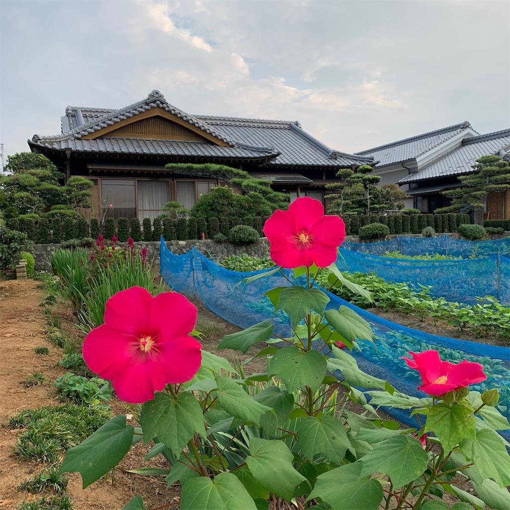 f:id:keikostyle:20211021165433j:image