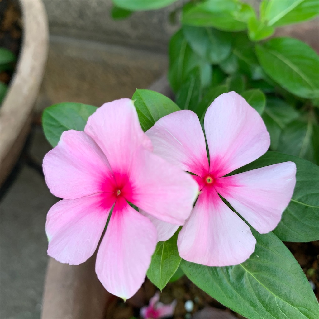 f:id:keikostyle:20211021165511j:image