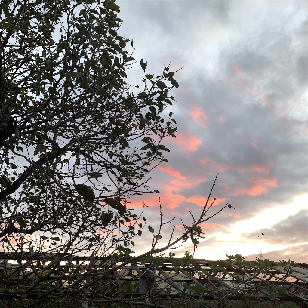 f:id:keikostyle:20211026063758j:image