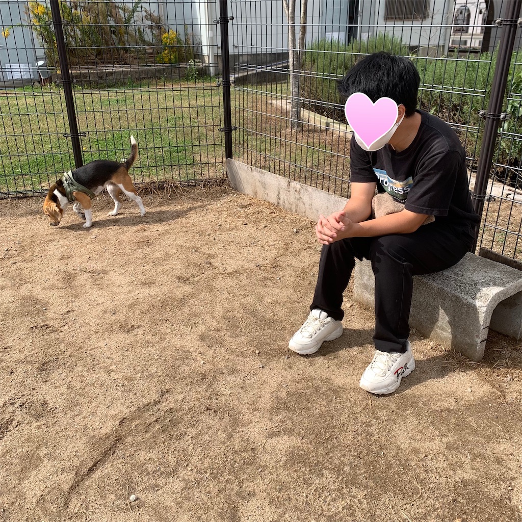 f:id:keikostyle:20211026162216j:image