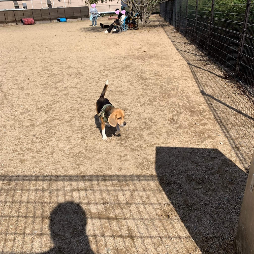 f:id:keikostyle:20211026162244j:image