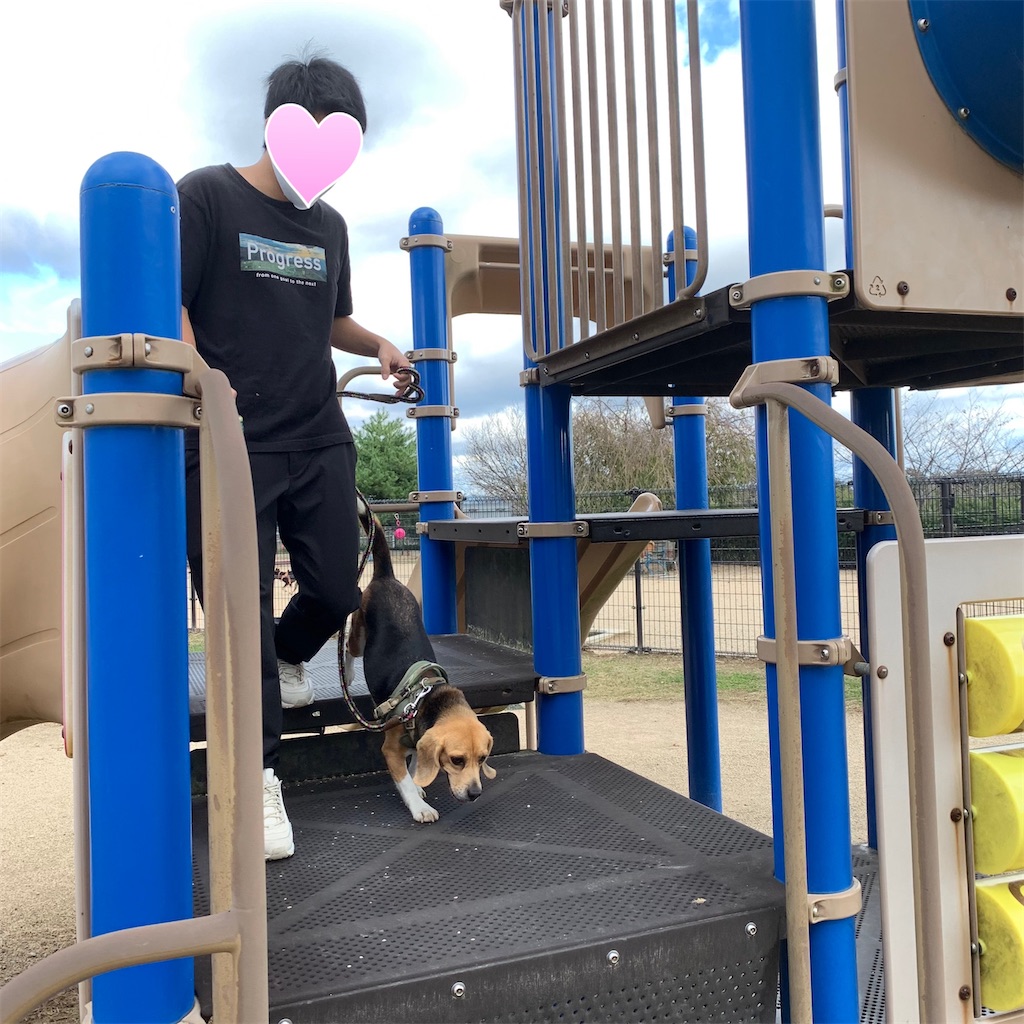f:id:keikostyle:20211026162258j:image
