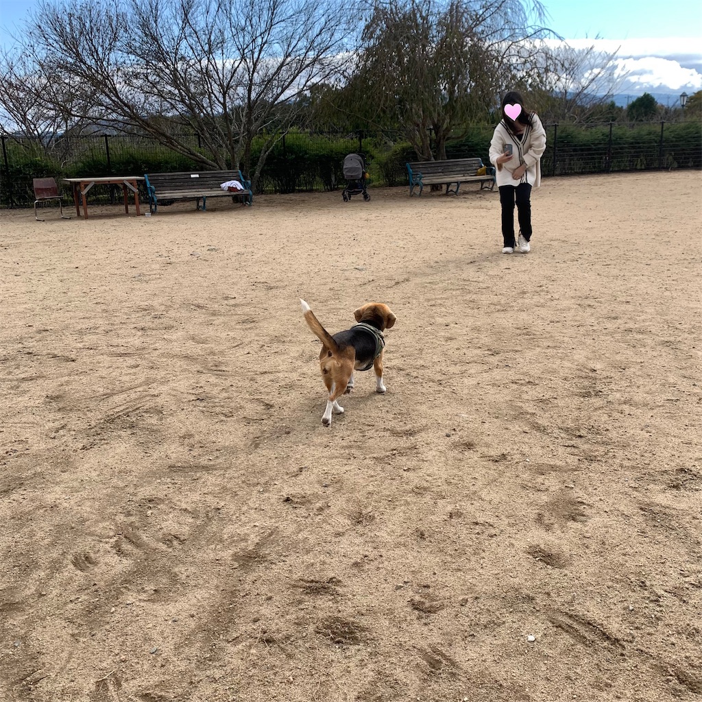 f:id:keikostyle:20211026162306j:image