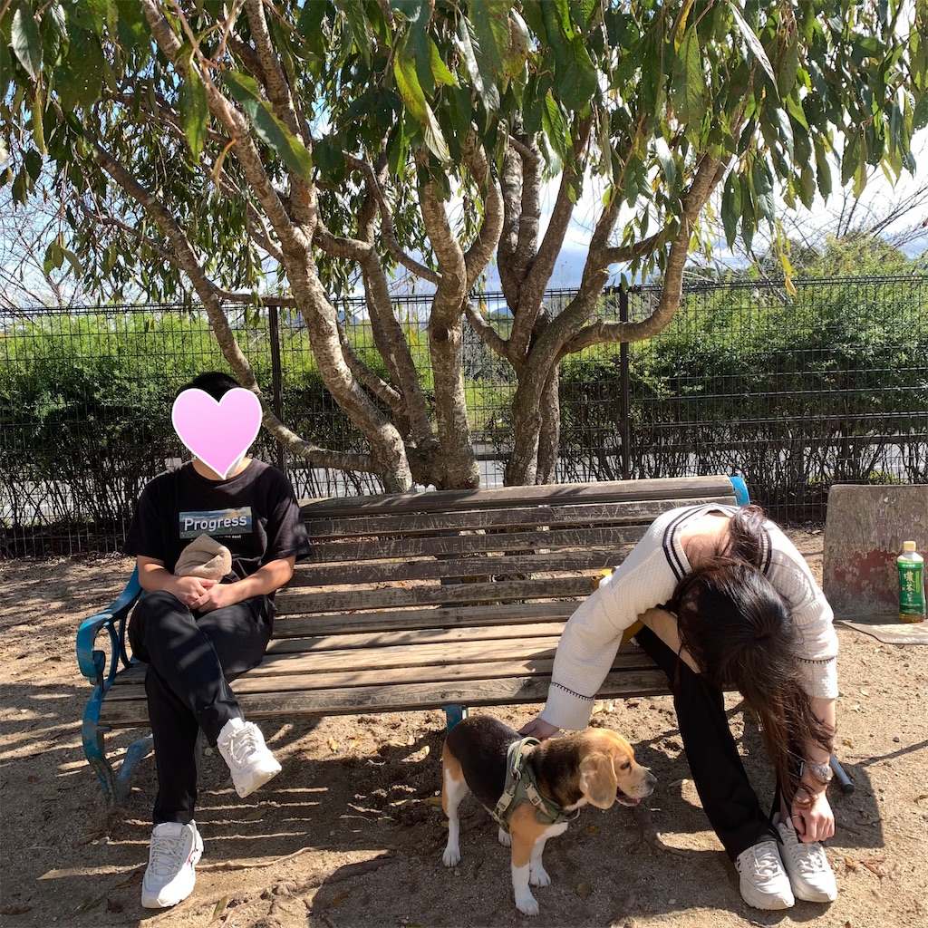 f:id:keikostyle:20211026162315j:image