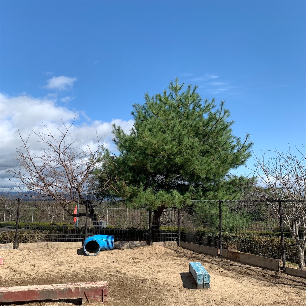 f:id:keikostyle:20211026162321j:image