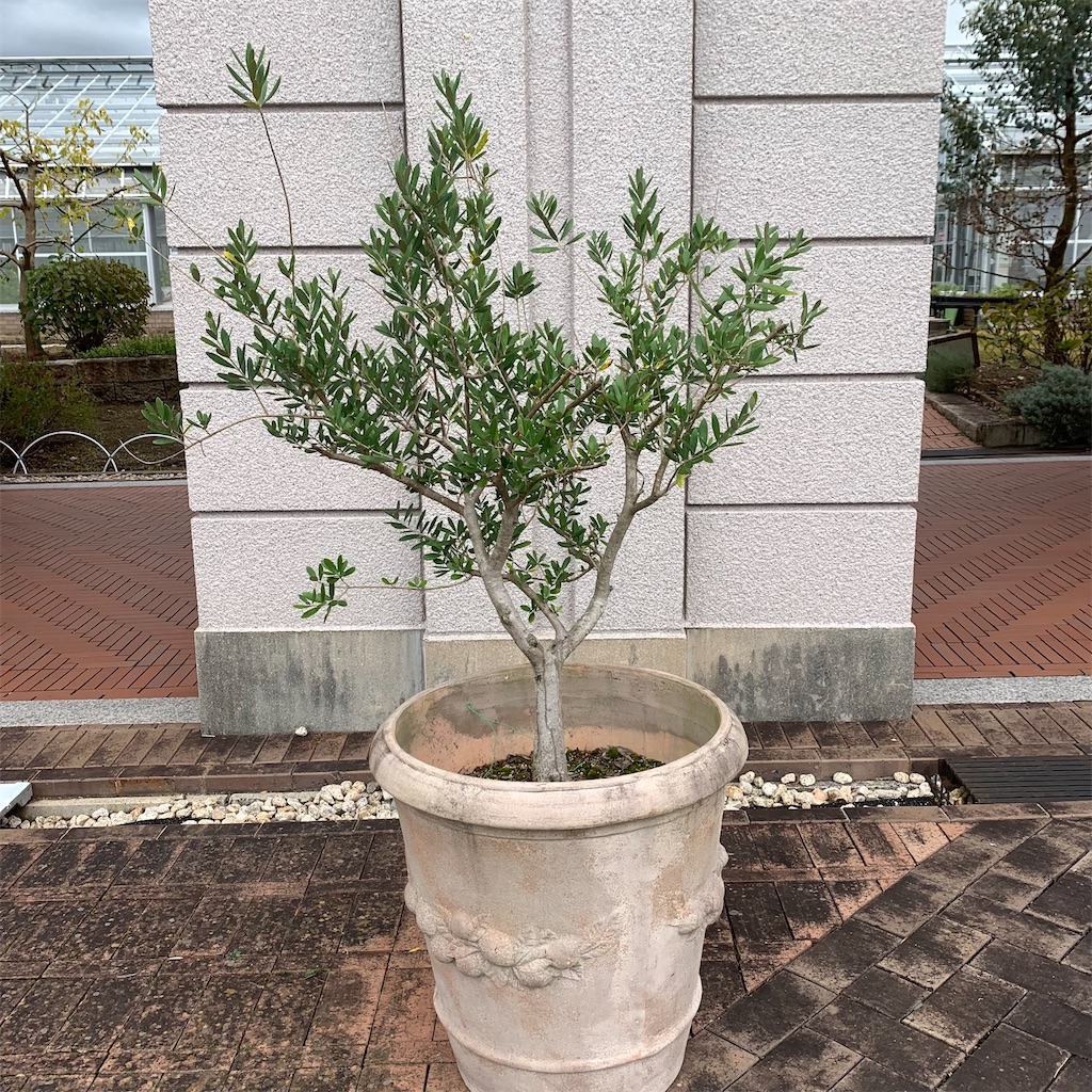 f:id:keikostyle:20211026164150j:image