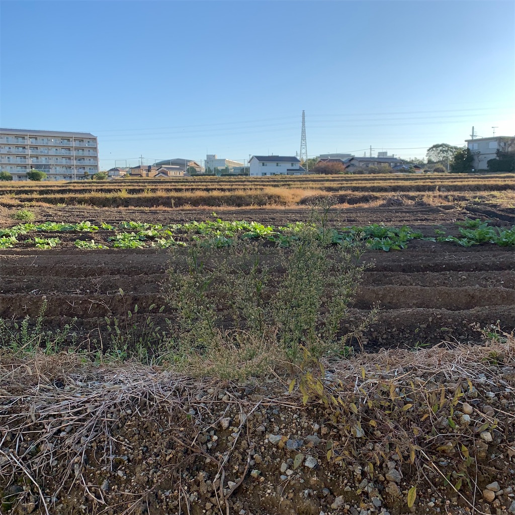 f:id:keikostyle:20211029074020j:image