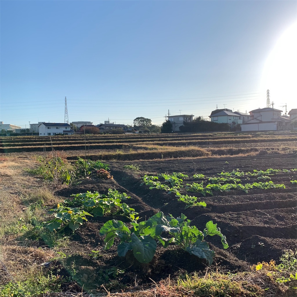 f:id:keikostyle:20211029074022j:image