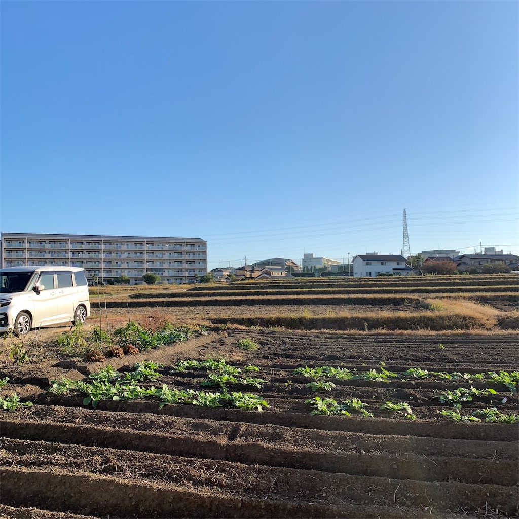 f:id:keikostyle:20211029074033j:image