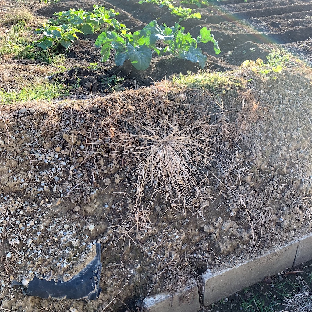 f:id:keikostyle:20211029074039j:image